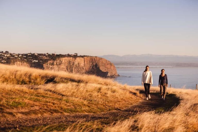 Christchurch: Guided Crater Rim Walk with Coastal Scenery - The Sum Up