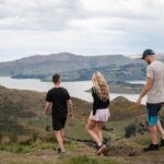 Christchurch Highlights Tour (Full Day Private) - The Practical Side: What You Need to Know