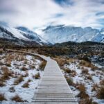 Christchurch: Mt Cook Day Trip/Lake Tekapo & Tasman Glacier - What Makes This Tour Stand Out