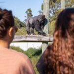 Christchurch: Orana Wildlife Park Admission - Why This Experience Works Well