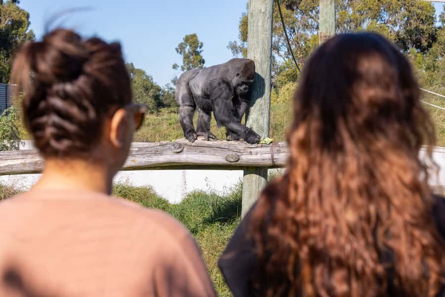 Christchurch: Orana Wildlife Park Admission - Why This Experience Works Well