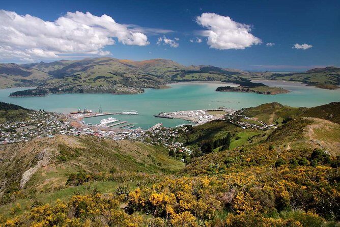 Christchurch Private Luxury Full Day Tour - Who Should Consider This Tour?