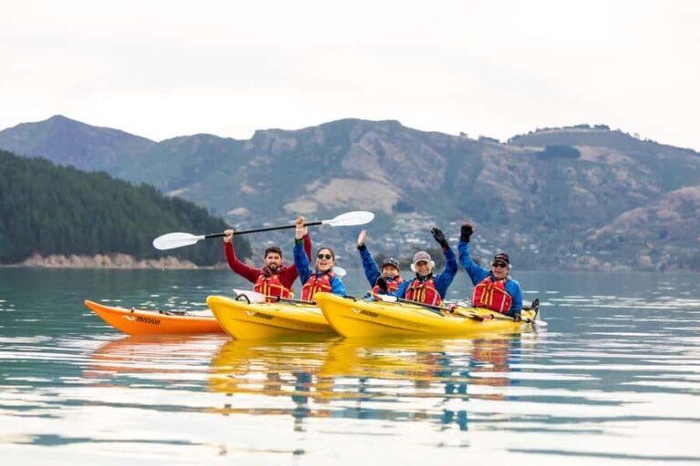 Christchurch: Sea Kayaking Tour of Lyttelton Harbour - The Itinerary: A Day Packed with Highlights