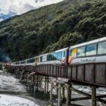 Christchurch to Arthur's Pass Day Tour: TranzAlpine Train & Lunch - Authentic Experiences and Insights from Travelers