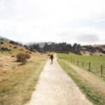 Christchurch to Franz Josef 1-Way Small Group Tour via Hokitika - What’s Included & What to Expect