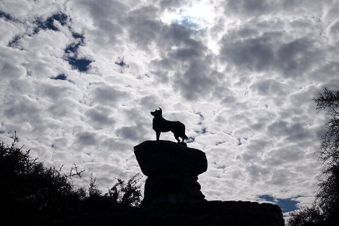Christchurch to Tekapo Small-Group Tour (one-way) - Why This Tour Offers Great Value