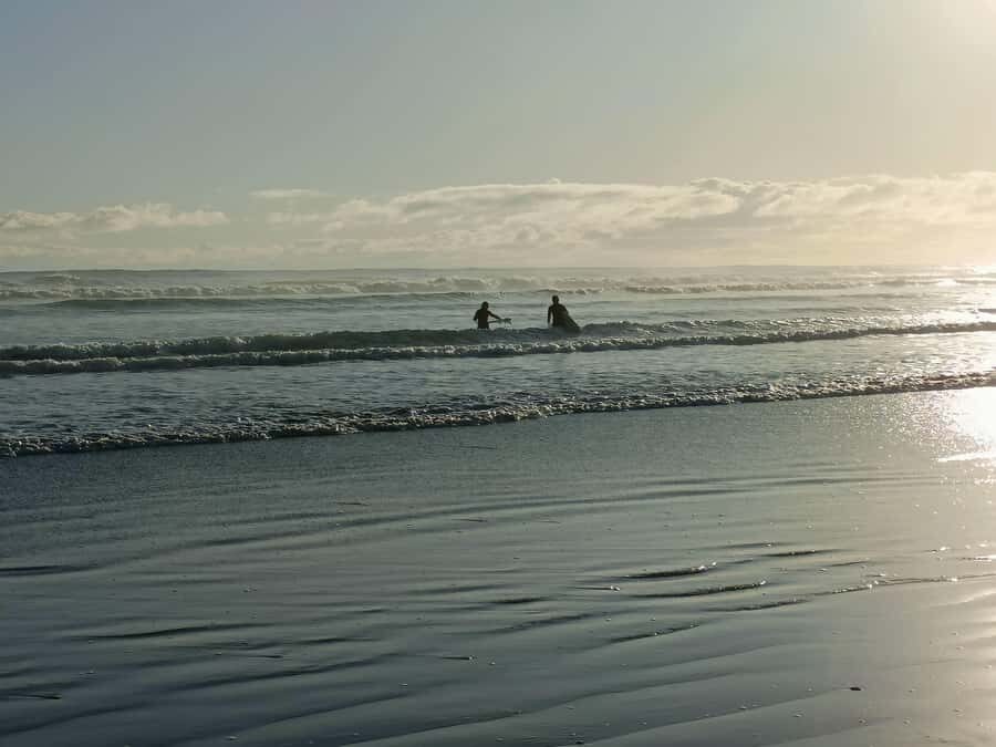 City & Coast & Country  A Relaxed Day Tour from Auckland - Authentic Experiences and Guest Feedback