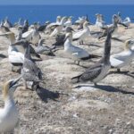 Coast to Coast Private Eco Tour - Final Thoughts