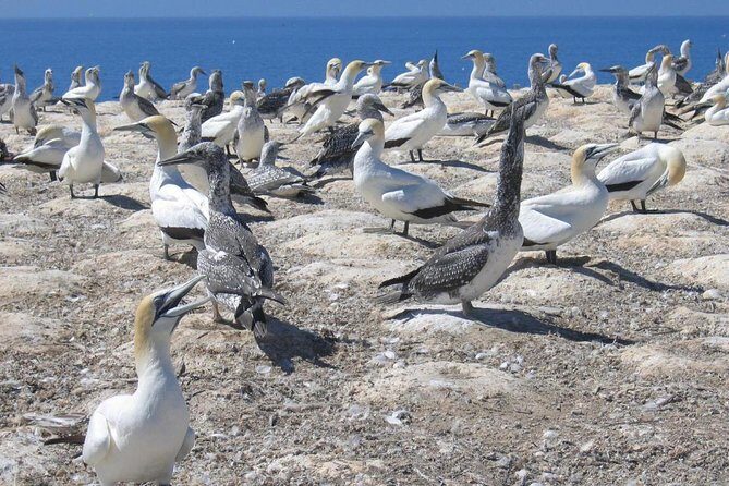 Coast to Coast Private Eco Tour - Final Thoughts