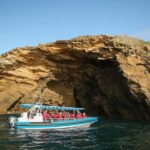 Coastal 2.5-hour Adventure Boat Tour from Newcastle - Why This Tour Works Well