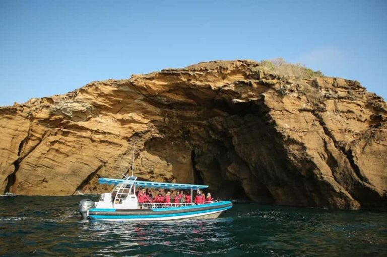 Coastal 2.5-hour Adventure Boat Tour from Newcastle - Why This Tour Works Well