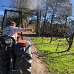 Coastal Scenic Food & Wine Trail - Final Thoughts: Is it Worth the Price?