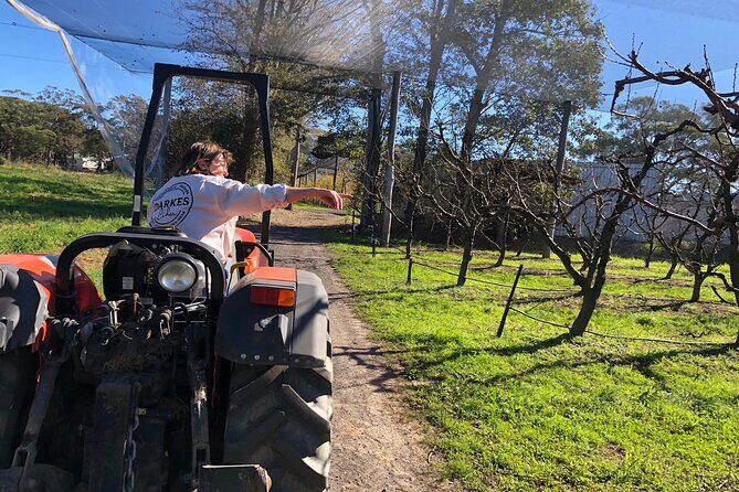 Coastal Scenic Food & Wine Trail - Final Thoughts: Is it Worth the Price?