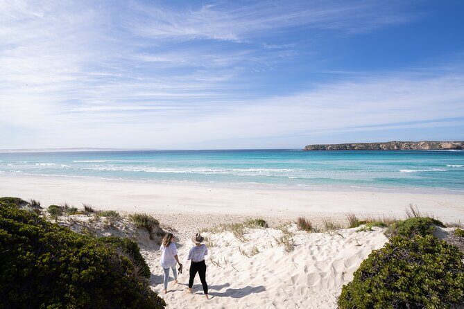 Coffin Bay Day Tour - A Taste of Coffin Bay - What the Tour Includes and Why It Matters