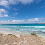 Coffin Bay National Park Half-day 4WD Tour - Final Thoughts: Who Should Consider This Tour?