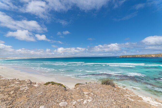 Coffin Bay National Park Half-day 4WD Tour - Final Thoughts: Who Should Consider This Tour?