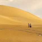 Coffin Bay National Park: Highlights and Off-Road 4WD Tour - Key Points