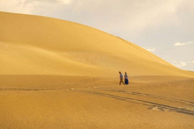 Coffin Bay National Park: Highlights and Off-Road 4WD Tour - Key Points