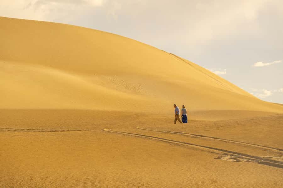 Coffin Bay National Park: Highlights and Off-Road 4WD Tour - Key Points