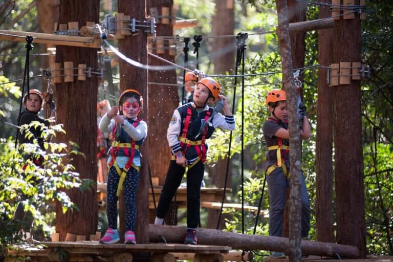 Coffs Harbour: Junior Tree Ropes Course - Practical Details and Tips for Visiting