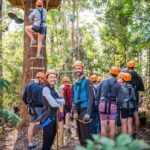 Coffs Harbour: Treetops Adventure Tree Ropes Course - The Experience: What You Can Expect
