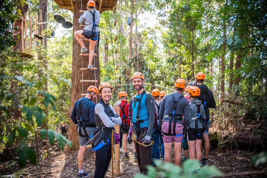 Coffs Harbour: Treetops Adventure Tree Ropes Course - The Experience: What You Can Expect