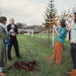 Cool Climate Chardonnay Masterclass in Denmark Australia - Exploring the Masterclass Experience