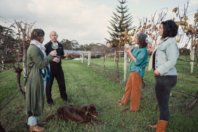 Cool Climate Chardonnay Masterclass in Denmark Australia - Exploring the Masterclass Experience