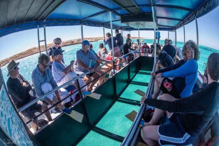 Coral Bay: 2-Hour Coral Viewing and Snorkeling - What to Expect on the Coral Bay Snorkeling Tour