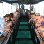 Coral Bay Glass-Bottom Boat Tour - The Itinerary: What Makes Each Part Special