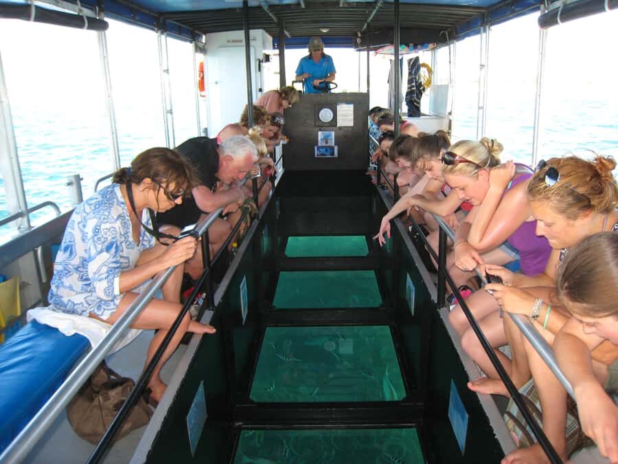 Coral Bay Glass-Bottom Boat Tour - The Itinerary: What Makes Each Part Special