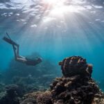 Coral Bay: Half Day Ningaloo Reef Adventure with Manta Rays - Why This Tour Offers Great Value