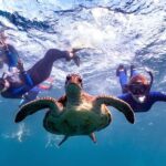 Coral Bay: Marine Eco Safari - Swim With Manta Rays - What Makes This Tour Stand Out?