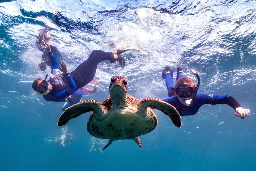 Coral Bay: Marine Eco Safari - Swim With Manta Rays - What Makes This Tour Stand Out?