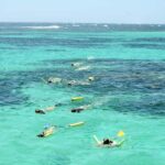 Coral Bay: Ningaloo Reef 3-Hour Turtle Ecotour - What the Reviews Say: Authentic Perspectives
