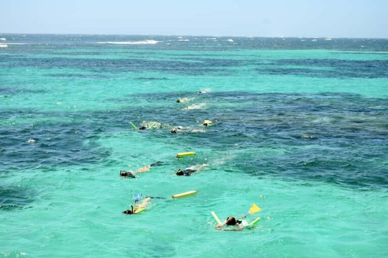 Coral Bay: Ningaloo Reef 3-Hour Turtle Ecotour - What the Reviews Say: Authentic Perspectives