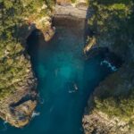 Coromandel: Aldermen Islands Marine Reserve Wildlife Cruise - What To Expect on the Tour