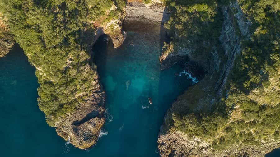 Coromandel: Aldermen Islands Marine Reserve Wildlife Cruise - What To Expect on the Tour