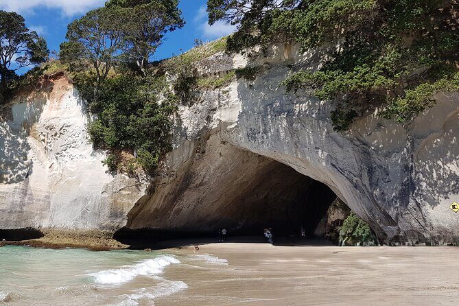 Coromandel Cathedral Cove Walk & Hot Water Beach Day Tour - Why This Tour Works for Travelers