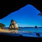 Coromandel Coastal Experience - Small Group Tour from Auckland - The Practicalities: Transportation, Timing, and What’s Included