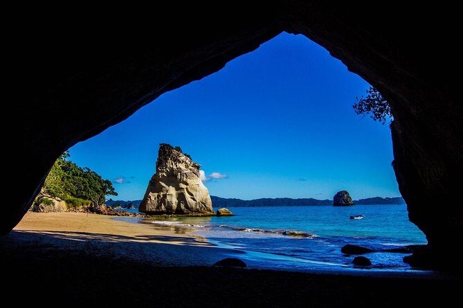 Coromandel Coastal Experience - Small Group Tour from Auckland - The Practicalities: Transportation, Timing, and What’s Included