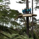Coromandel: Guided Zipline Tour Experience - The Scenic Railway Journey
