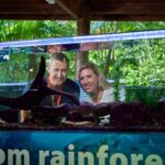 Cow Bay: Daintree Discovery Centre Entry Ticket - Value and Practicality