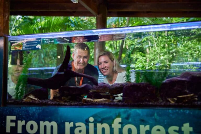 Cow Bay: Daintree Discovery Centre Entry Ticket - Value and Practicality