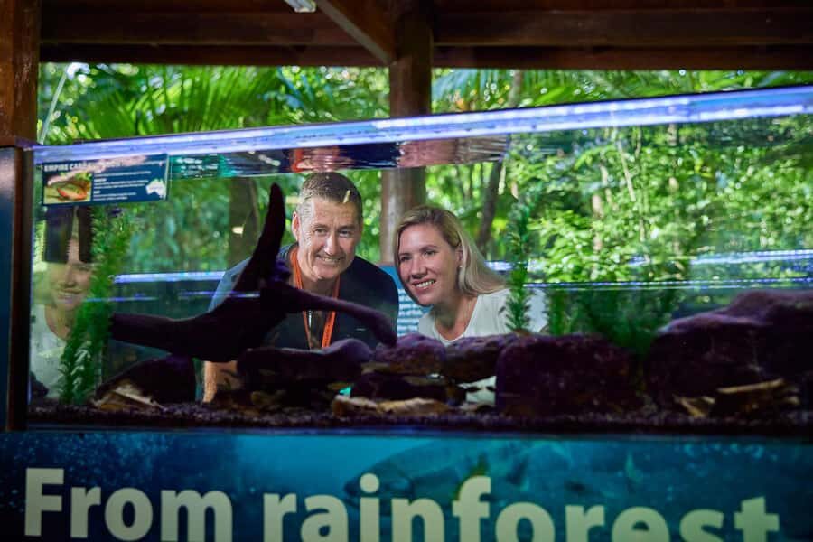 Cow Bay: Daintree Discovery Centre Entry Ticket - Value and Practicality