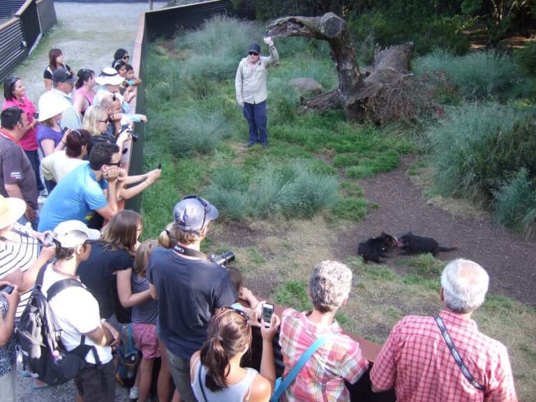 Cradle Mountain: After Dark Tasmanian Devil Feeding Tour - An In-Depth Look at the Experience