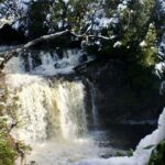 Cradle Mountain Day Tour from Launceston Including Lunch - The Value of the Guided Walks