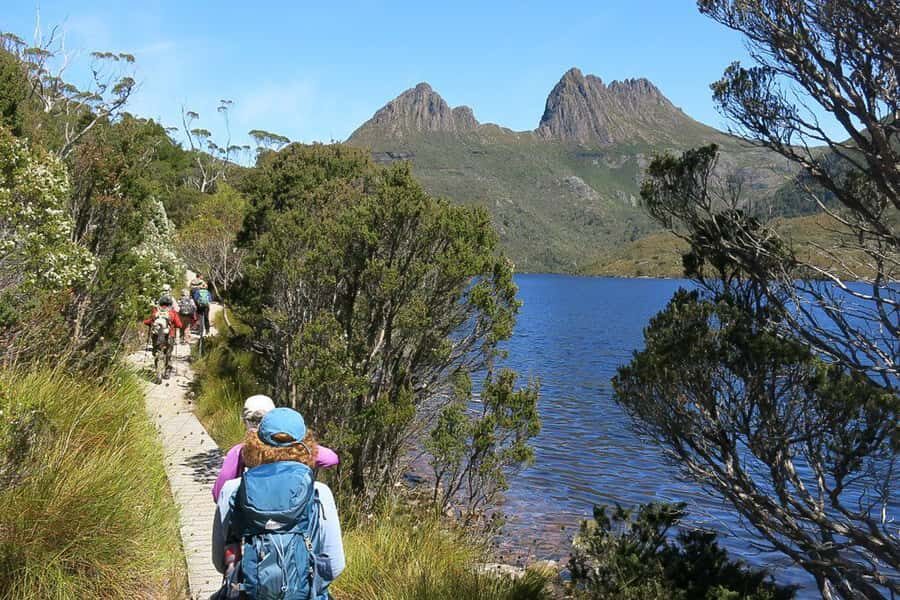 Cradle Mountain: Day Trip from Launceston with Lunch - What Travelers Say