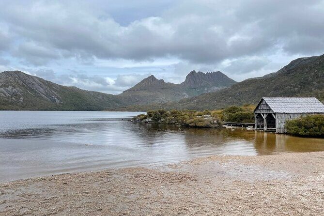 Cradle Mountain National Park Day Tour from Launceston - Why Choose This Tour?