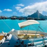 Crazy sea horse Bora Bora Comfortable boat, snorkeling and lunch - The Value of This Tour: What You Get for $200